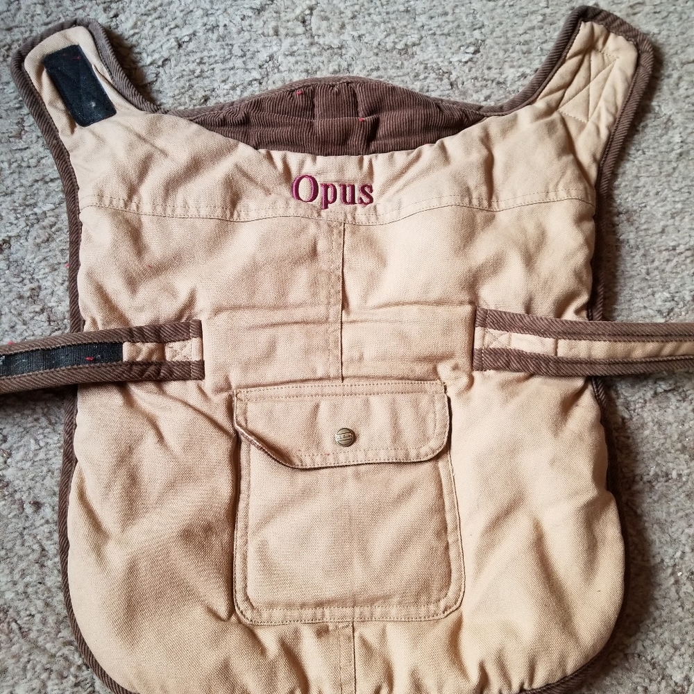 Ll bean dog jacket